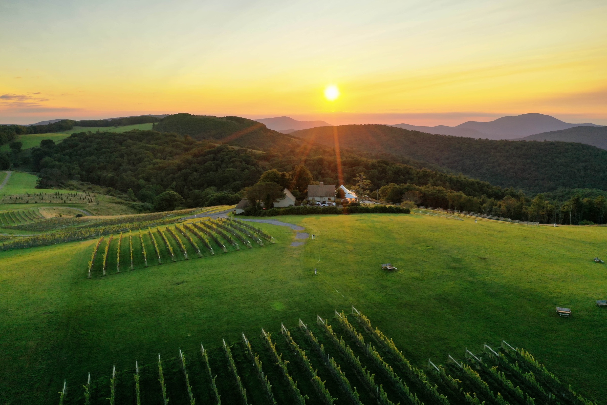 The estate and vineyard at sunset, aerial